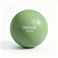 Mini-ballon de yoga Pilates multifonctionnel pour le fessier, en PVC, 25 cm, épaissi, anti-éclatement, pour exercices de fitness et massage pelvien personnalisé