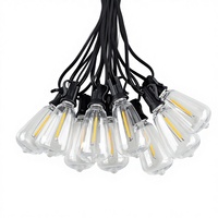 Guirlandes lumineuses LED ST38 en plastique pour extérieur, jardin, mariage, patio, décoratives, étanches IP44, Noël, alimentées par courant continu 100-220V