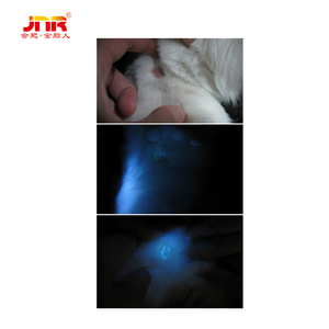 Lámpara LED para Detección de <span class=keywords><strong>Hongos</strong></span> Veterinarios - Equipo de Lámpara de Woods para Hospitales de Animales de China - Product Image 3