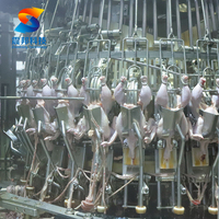 Opérations de traitement de petite volaille de machine d'abattage automatique de ZB CTurkey