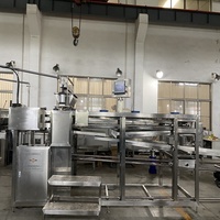 Machine à Popping Boba en Acier Inoxydable 304 Entièrement Automatique, Fabrication de Petites Boules de Cristal de Perles de Tapioca