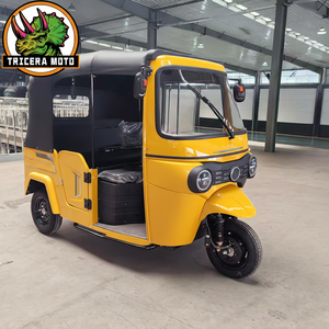 <span class=keywords><strong>Triciclo</strong></span> Motorizado Cerrado de Gran Cilindrada para 2 Pasajeros, Diseño Tuk-Tuk para el Mercado Africano - Product Image 3