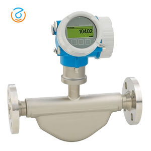 E + HプロマスE500マルチパラメータ流量密度温度トランスミッタCoriolis DN15質量流量計ガス液体OEMカスタマイズ可能 - Product Image 3