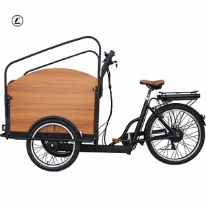 New Black Riding Tricycle mobility electrical bike for sale /electric tricycle 3 wheels /Business Electric Cargo Bike back ward