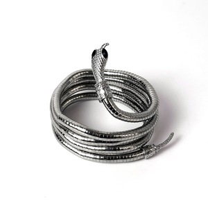 Collana a Serpente Personalizzata in Lega, Stile Minimalista INS, Design di Nicchia Audace e Sombrio, Gioielli Chunky per Donna e Uomo, Choker - Product Image 6