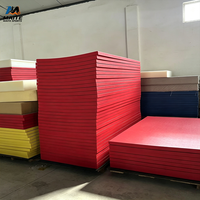 Tapete de Judo Encastrable de Alta Densidad, Espuma EVA, Tatami, Tapete de Ejercicio Antideslizante para Artes Marciales, MMA, Dojo, Gimnasia y Entrenamiento