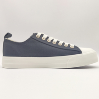 Vente en gros de chaussures en toile personnalisées chaussures de marche bleues décontractées pour hommes pour le printemps nouveau style