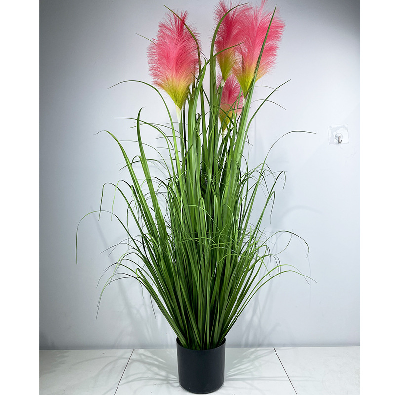 120 cm, 5 têtes