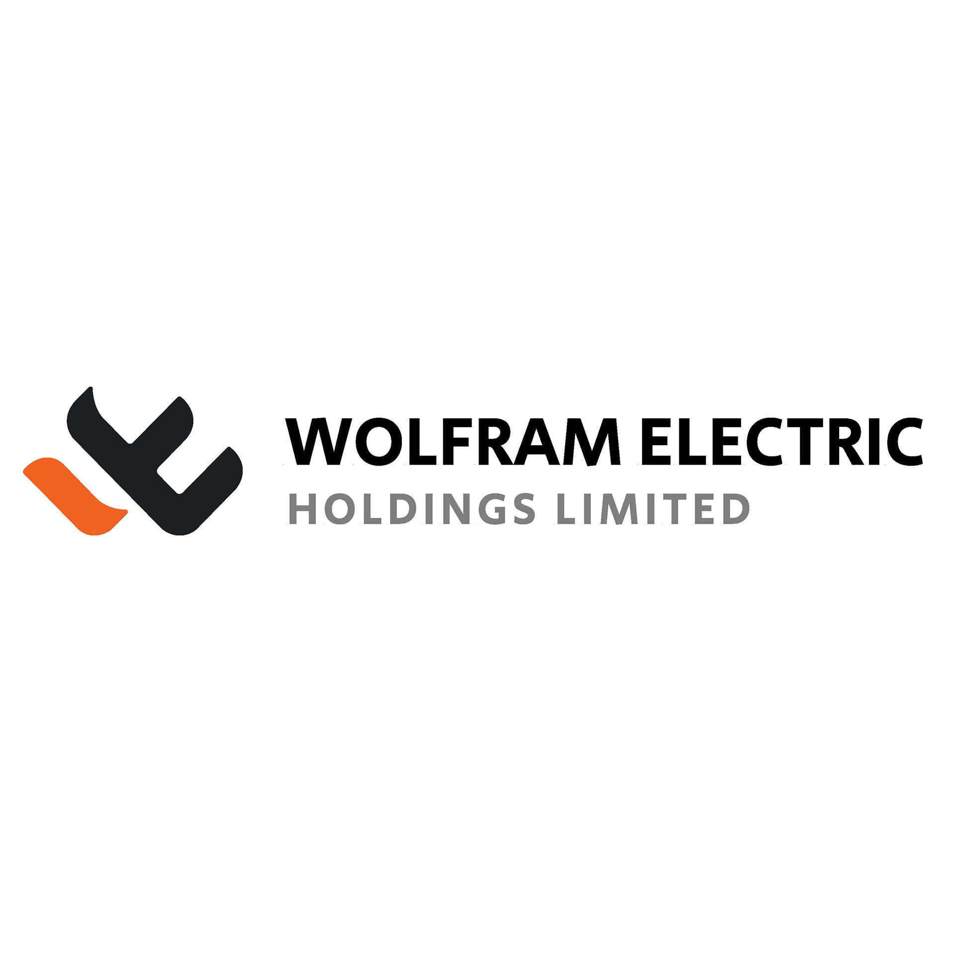 Dongguan Microlamp Electronic Technology Limited logo