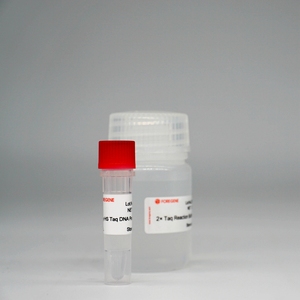 Super <span class=keywords><strong>Hot</strong></span> <span class=keywords><strong>Start</strong></span> Taq-Hs ADN Polimerasa - Product Image 4