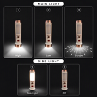 Lampe torche LED rechargeable portable Type-C, 5 modes, lampe de poche avec lumière latérale pour le camping, la maison et les situations d'urgence