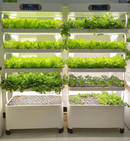 Intérieur maison jardin d'herbes intelligent Intelligente microgreens aquaponie aéroponique verticale kit hydroponique système de culture hydroponique