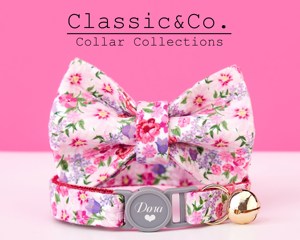 Conjunto de Correa y Collar Personalizado para Gato con Diseño Floral Colorido y Lazo, Grabado con Nombre de Gatito, Hebilla de Seguridad, Dorado - Product Image 2