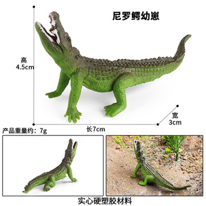yxs Simulation kognitives, solides Krokodilmodell, Niljunges, Kaiserkrokodil, Chinesischer Alligator, Wildschwein, <span class=keywords><strong>c</strong></span> - Product Image 3