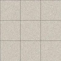 JNZ Schnelle Lieferung 20mm Dicke Outdoor-Porzellan-Bodenfliesen Außenbereich 600X600mm Antibakteriell Leuchtend 1 Jahr Garantie