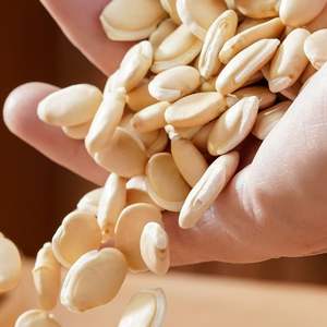 ถั่วขาวไบเปียนตั้ว คุณภาพสูง ขายดี ถั่วไฮยาซินธ์ขาวอบแห้งธรรมชาติ สำหรับการทำอาหารเพื่อสุขภาพและโภชนาการ - Product Image 3