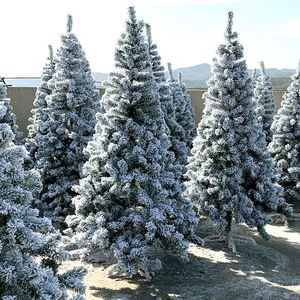 Ornements de Noël de haute qualité, décorations d'arbres, arbre de Noël artificiel vert de qualité supérieure - Product Image 6