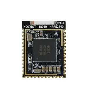 Ble Module Holyiot Ble 5.0 Low Energy BLE Mesh Smart Automation Modules Development Board 18010 Nordic NRF52840 Module