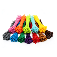 Bridas de nailon autoblocantes de 2.5x100mm con resistencia a la tracción de 8kg para agrupación de cables eléctricos de -40C a 85C, tamaño personalizado
