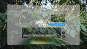 แว่นตาอัจฉริยะ INMO Wireless AI AR กล้อง 16MP หน่วยความจำ 8+<span class=keywords><strong>128GB</strong></span> จอแสดงผล Micro-OLED สีเต็มรูปแบบ 1080P พร้อมผู้ช่วยเสียง AI และ Open SDK สำหรับเล่นเกม - Product Image 5