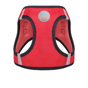 Harnais pour chien, gilet respirant pour chiot, chat, harnais en <span class=keywords><strong>maille</strong></span> sans traction, harnais pour chien avec bordure réfléchissante - Product Image 5