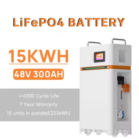 Batterie LiFePO4 15KWh 51.2V 300Ah, pack divisé IP65, BMS intelligent 200A, cycle profond, CAN RS485, pour onduleur, appareils solaires domestiques, garantie 10 ans
