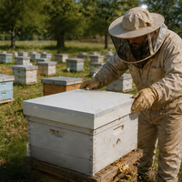 Ruche Langstroth améliorée avec couvercle extérieur en bois de sapin coloré et toit en métal galvanisé pour l'apiculture