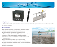 Créer un compteur d'eau pH5520 pH/ORP en ligne avec sortie ROC 4-20mA contrôle à double relais contrôleur pH/ORP facile à utiliser