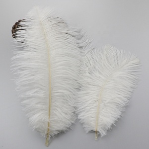 Grand festival de carnaval blanc plumas en plumes d'autruche de haute qualité 15-65CM pour les centres de table de mariage de noël - Product Image 4
