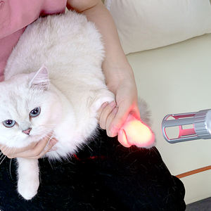 La machine vétérinaire de physiothérapie de thérapie de laser de la cure 810nm 980nm pour des animaux réduisent la douleur et l'inflammation - Product Image 1