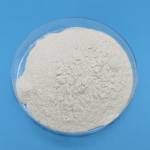 Bubuk Kitosan Densitas Tinggi KM Laris Manis dengan Harga Pabrik - Product Image 1