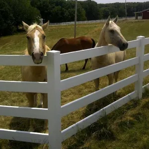 Top Quality 4 Rails Vinyl Pvc Farm Horse Picket Fence White Roll