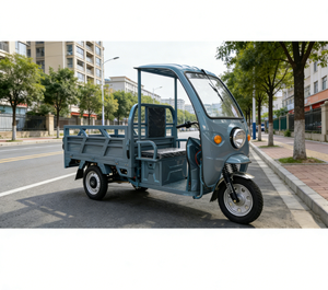 Tricycles fabriqués en Chine, véhicule <span class=keywords><strong>de</strong></span> transport <span class=keywords><strong>de</strong></span> marchandises, transporteur électrique, capacité <span class=keywords><strong>de</strong></span> 2 tonnes, meilleur prix - Product Image 2