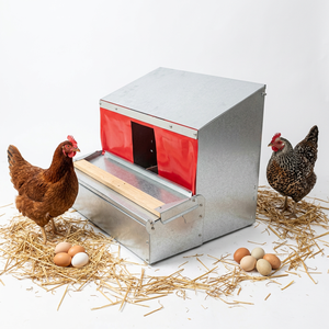 Nuevo Diseño <span class=keywords><strong>de</strong></span> Nido para <span class=keywords><strong>Gallinas</strong></span> Ponedoras, Galvanizado en Caliente, para Granjas Móviles - Product Image 1