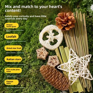 Juego de Juguetes de Madera Natural Premium Hechos a Mano, No Tóxicos, <span class=keywords><strong>para</strong></span> Loros, Ecológicos, <span class=keywords><strong>para</strong></span> Pájaros, Periquitos, Conures, Anti Depresión - Product Image 3