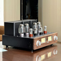 Triode à commutation super-ligneaire haut de gamme 50W Classe 2.0 pour amplificateur KT88 Push-pull Tube Métal Fabriqué à la main Télécommande
