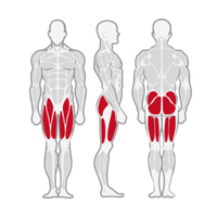 Machine à Squats à la Ceinture à Charge de Plaques, Cadre Surdimensionné, Coussinets d'Épaule, Entraîneur de la Partie Inférieure du Corps, Équipement de Musculation Commercial pour Salle de Sport