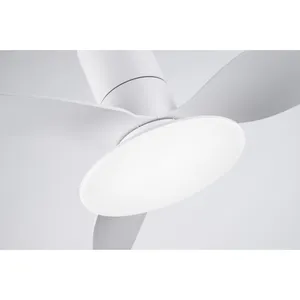 JK ZS-48-23009WH Smart Home Decorative TUYA APP Control Modern Intelligent Remote Control Led Ceiling Fan With Light