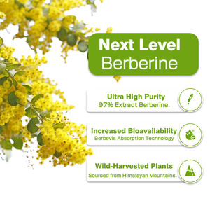 Oem nhãn hiệu riêng berberine viên nang với nhà máy chiết xuất hỗ trợ sức khỏe tim duy trì khỏe mạnh mức <span class=keywords><strong>cholesterol</strong></span> viên nang - Product Image 4