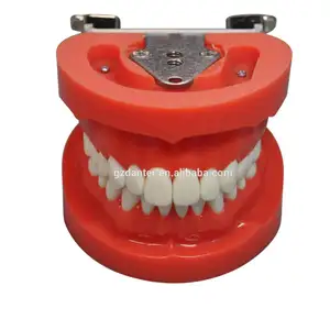 New design replacement practice teeth Nissin dental teeth model for practicing