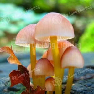 Luz decorativa LED con forma de hongo para jardín, césped, paisaje y ambiente festivo - Product Image 4