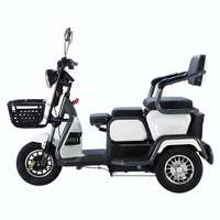 Tricycle électrique sans balais pour la route, scooter de mobilité 3 vitesses, moteur 500W, batterie 60V 20AH, télécommande, 3 roues, charge maximale 200kg