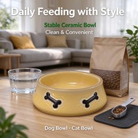 Bol en céramique personnalisé pour animaux de compagnie, motif os, pour chien et chat, usage domestique moderne