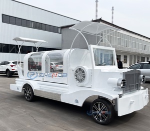 Factory Customized Vintage White Coffin Carriage Horse Wagon Antique Electric Buggy Electric Funeral Horse Hearse - Product Image 5