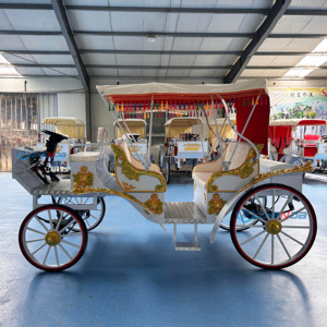Vente en gros de calèches électriques personnalisables en couleurs sur mesure pour la visite touristique sans chevaux - Product Image 3