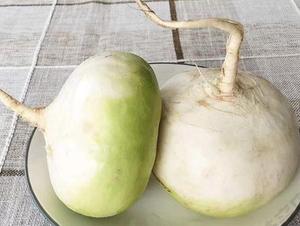 Trung Quốc cung cấp số lượng lớn tính năng kiềm rau củ cải rhizome khô brassica rapa var rapa gốc lát để bán - Product Image 2