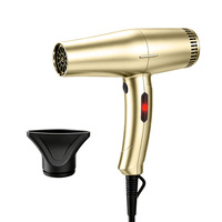 Sèche-cheveux professionnel ionique 2100W à moteur DC sans balais pour barbier, avec buse concentratrice
