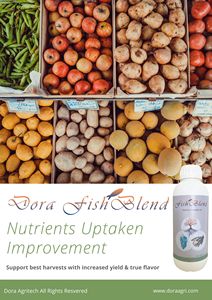 <span class=keywords><strong>Engrais</strong></span> liquide organique à haute teneur en protéines de poisson pour fertilisation <span class=keywords><strong>foliaire</strong></span>, fertilisation par arrosage, hormone d'enracinement - Pomme, <span class=keywords><strong>Agrumes</strong></span>, Banane, Mangue - Product Image 4