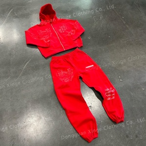 Conjunto de Sudadera con Capucha y Pantalones Deportivos de Felpa Francesa de 2 Piezas con Logotipo Personalizado para Hombre, Estilo Hip Hop - Product Image 5