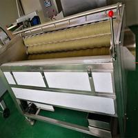Elektrische Industriële Palm Dadelwasmachine Groenteborstelroller Wasmachine